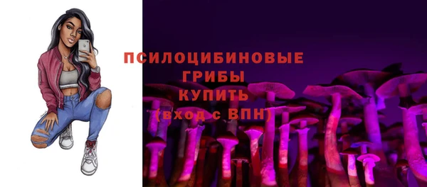 хмурый Вязьма