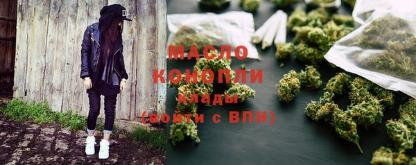 прущая мука Вяземский