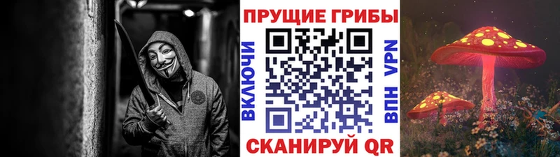 Галлюциногенные грибы мухоморы  Купить где  Дигора 